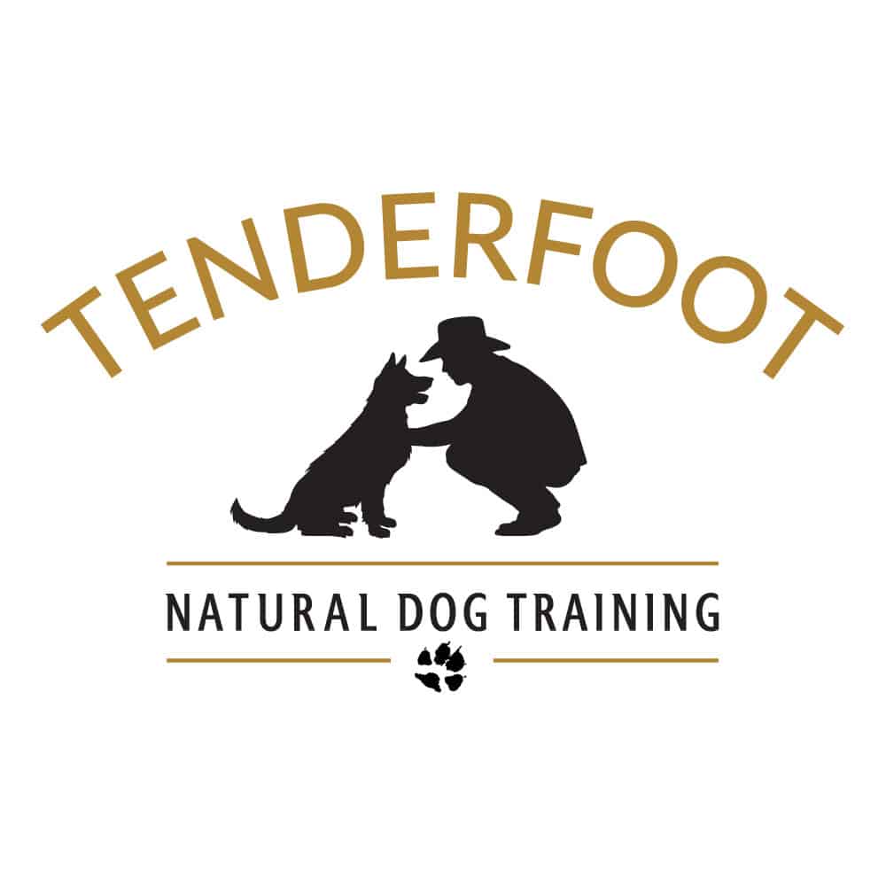 Small Collar Tenderfoot Natural Dog Training